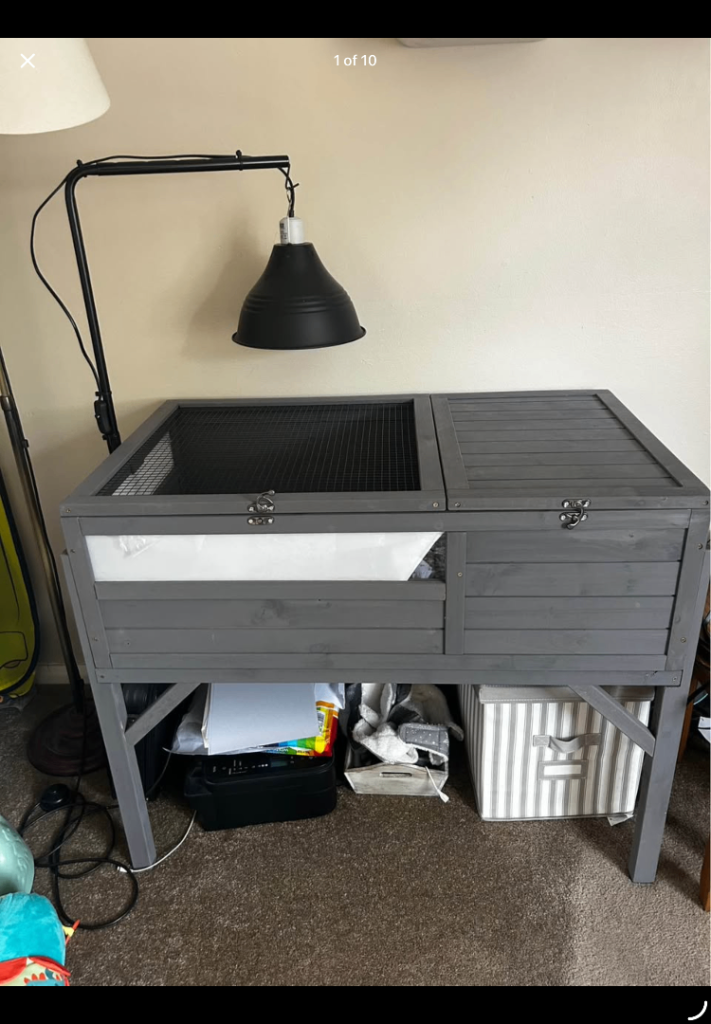 Tortoise table new 