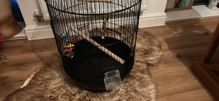 Bird Cage for Small Birds With Accessories
