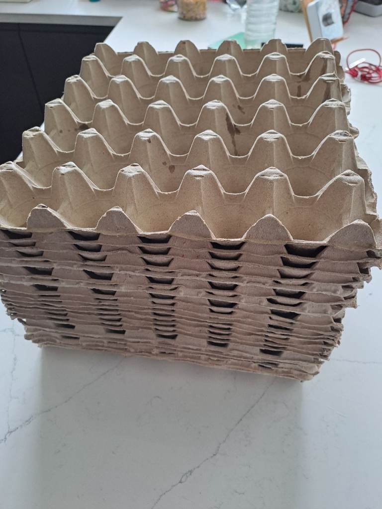 Egg trays