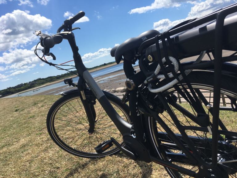 image for Gazelle electric bike for sale