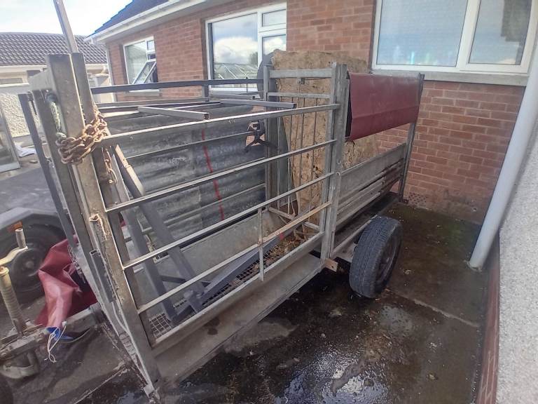 Sheep shearing/crutching trailer
