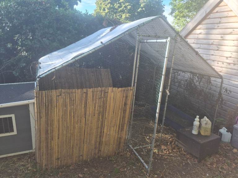 Duck chicken house and pen