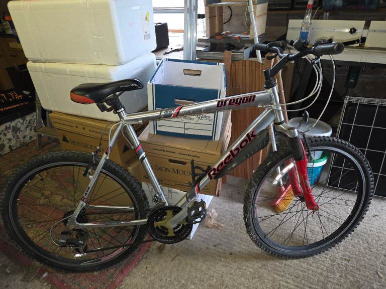 Reebok Oregon Adult Bike - 21 gears