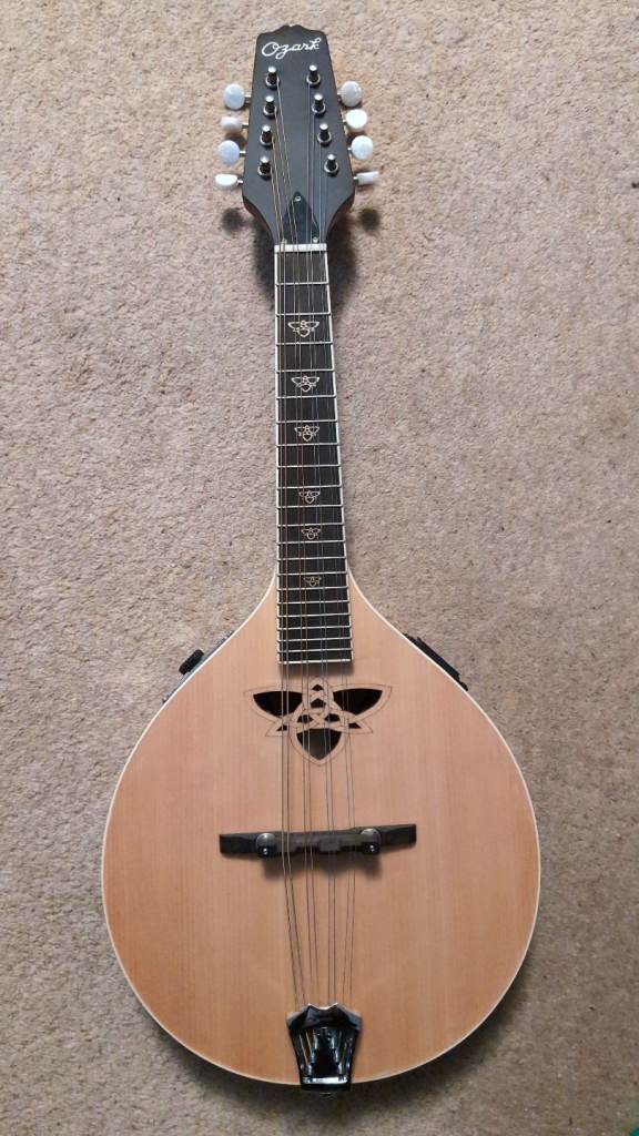 Mandola Electric Ozark 2242E