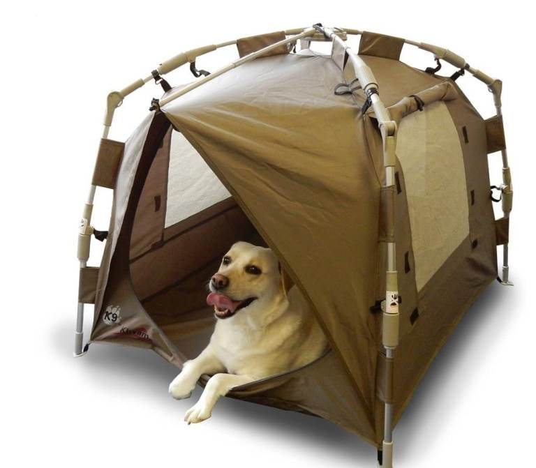  Sturdy Camping tent for dogs