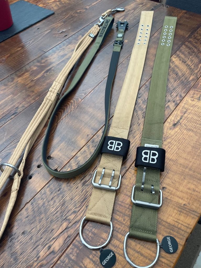 Bully Billows XL Dog Collars & Leads