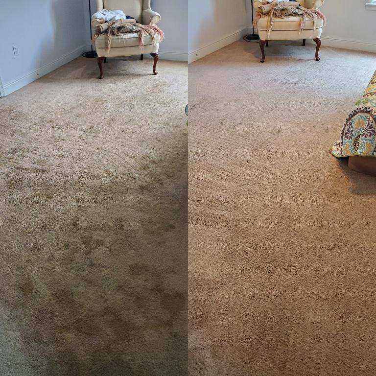 Carpet And Rug Cleaning Service - NK Cleans Deep Carpet Clean 🫧