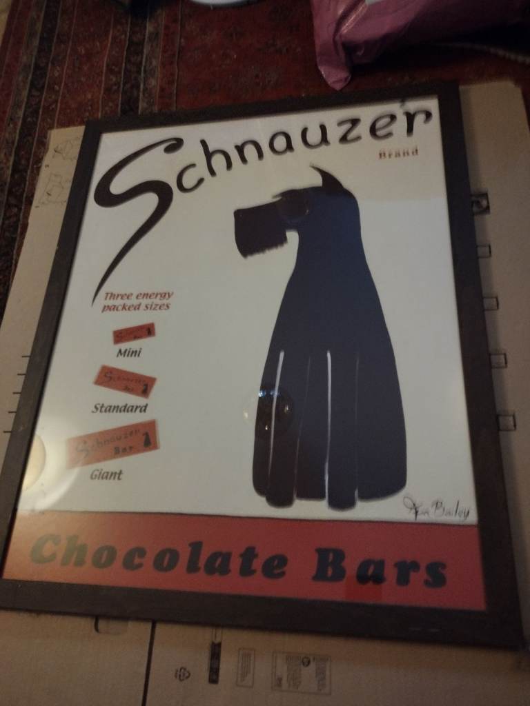 image for Professionally framed schnauzer print
