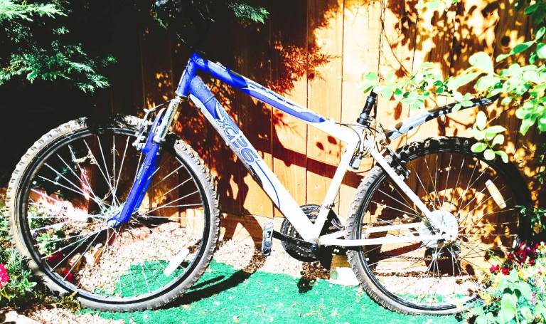 FREE Bicycle 