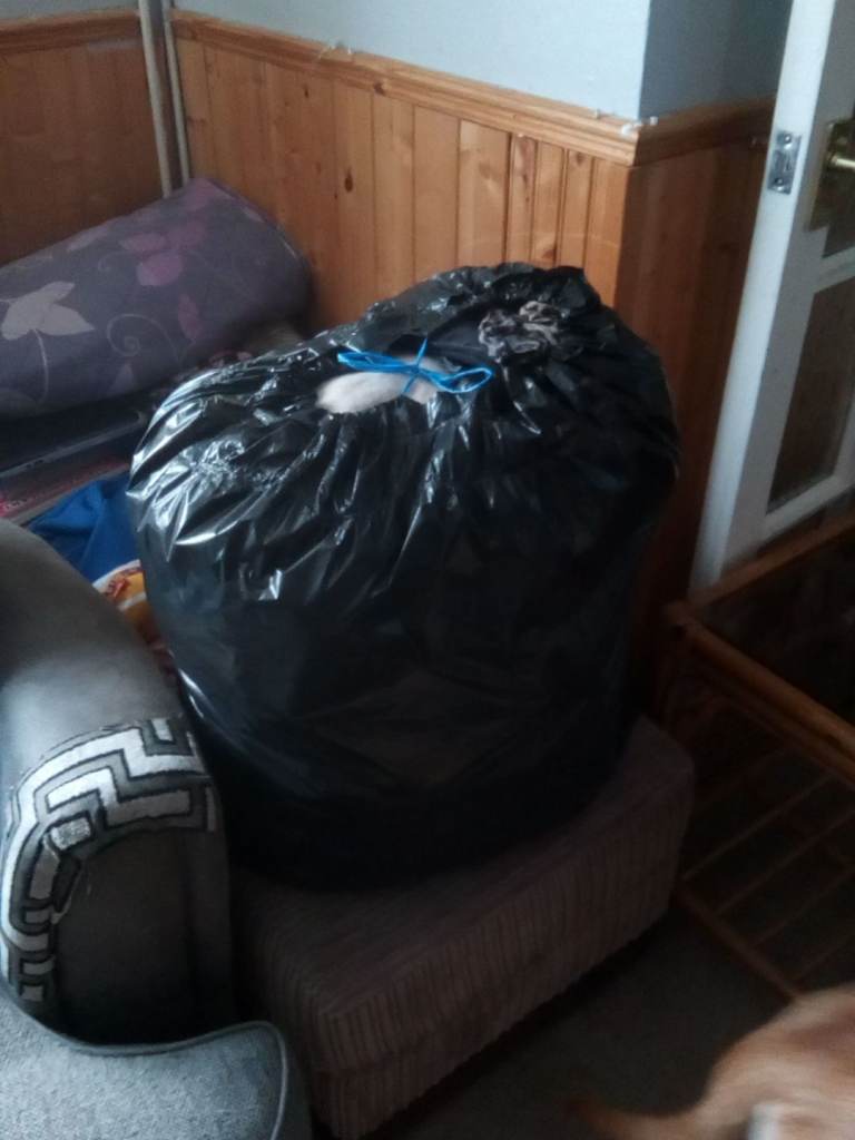 Women's clothing free