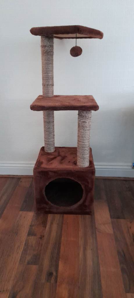 *RESERVED* Free Cat supplies