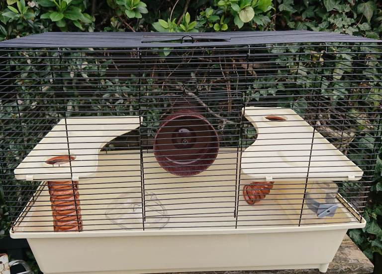 Large hamster cage plus accessories 