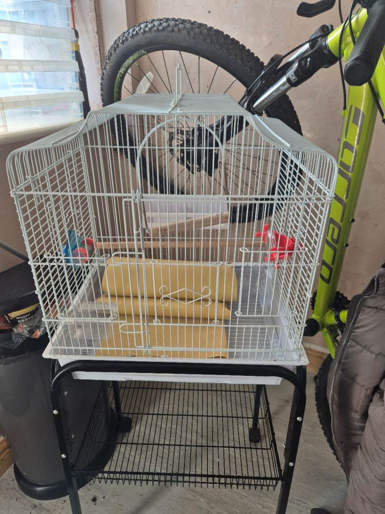 Bird cage 