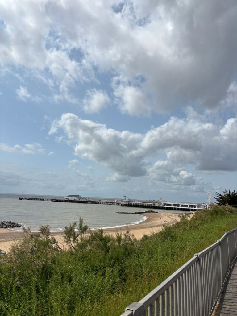 Front sea line 1 bedroom just renovated flat