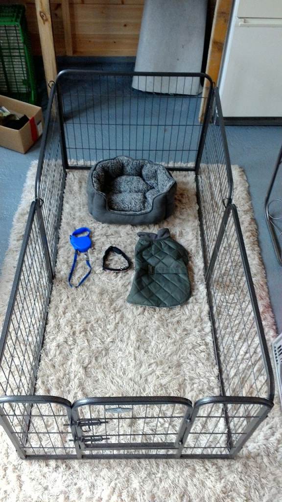 Dog play pen