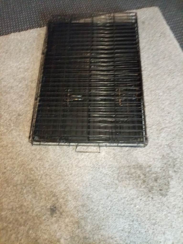 Dog cage 