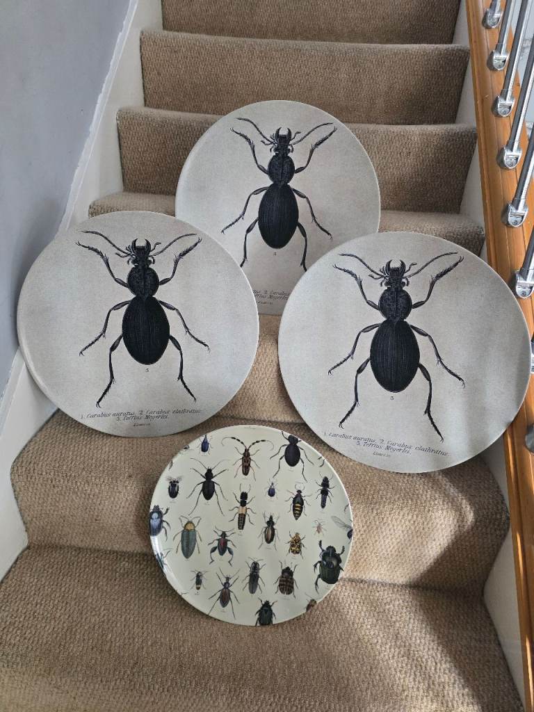 Huge ! Insect Plates/Platters £12 each
