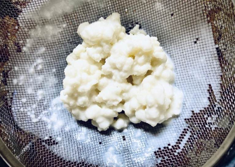 Wanted Kefir grains 