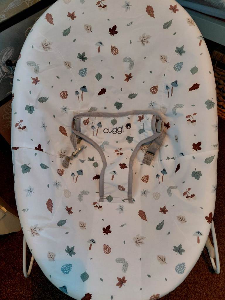 Free baby bouncer chair
