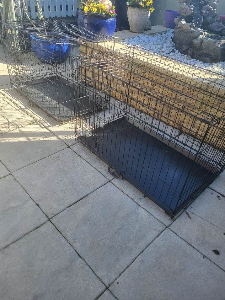 Dog Crate 