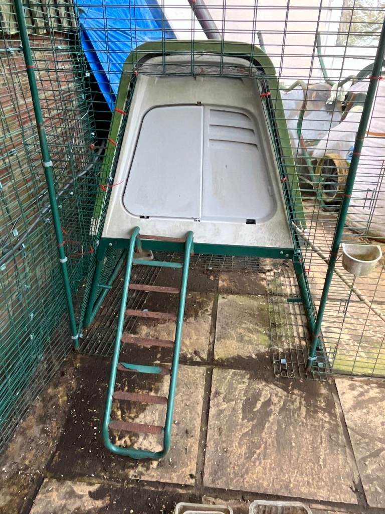 OMLET EGLU GO UP CHICKEN COOP, WALK-IN RUN, FENCING & LOTS MORE