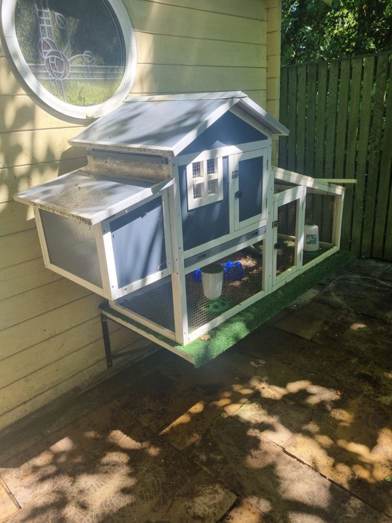 Chicken Coup