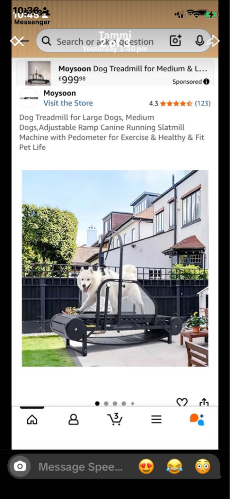 Treadmill for dogs 