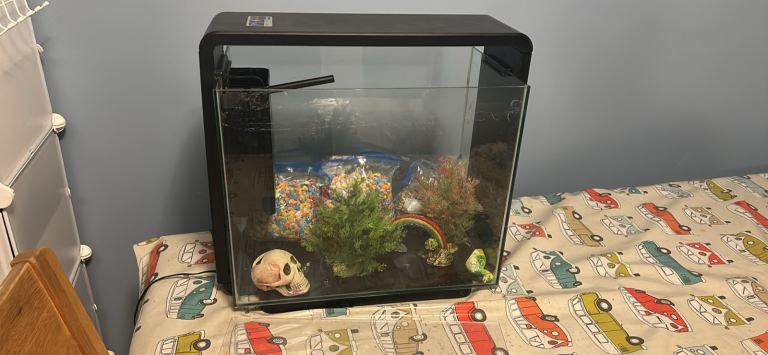 Fish tank