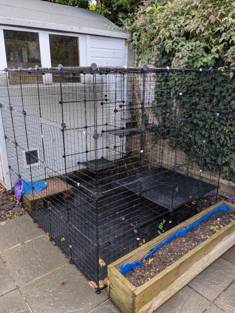 Large outside animal cage
