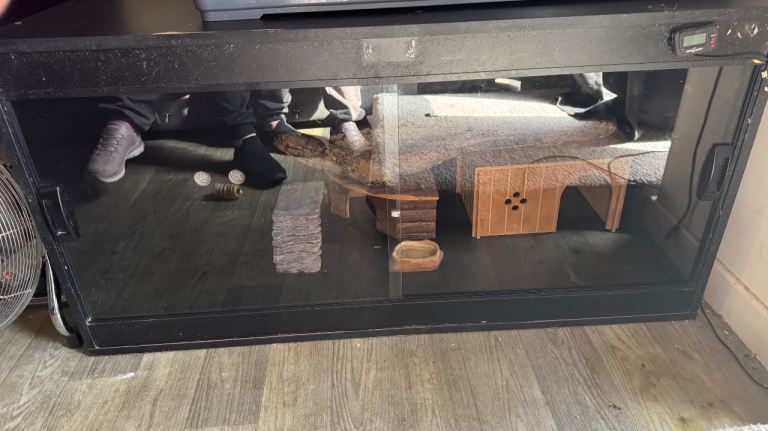 4ft reptile Vivariums