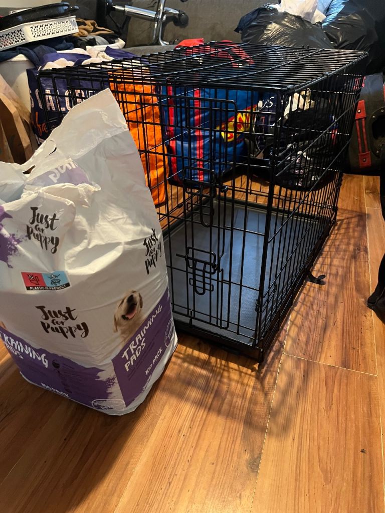 Foldable Dog crate and puppy toilet training pads