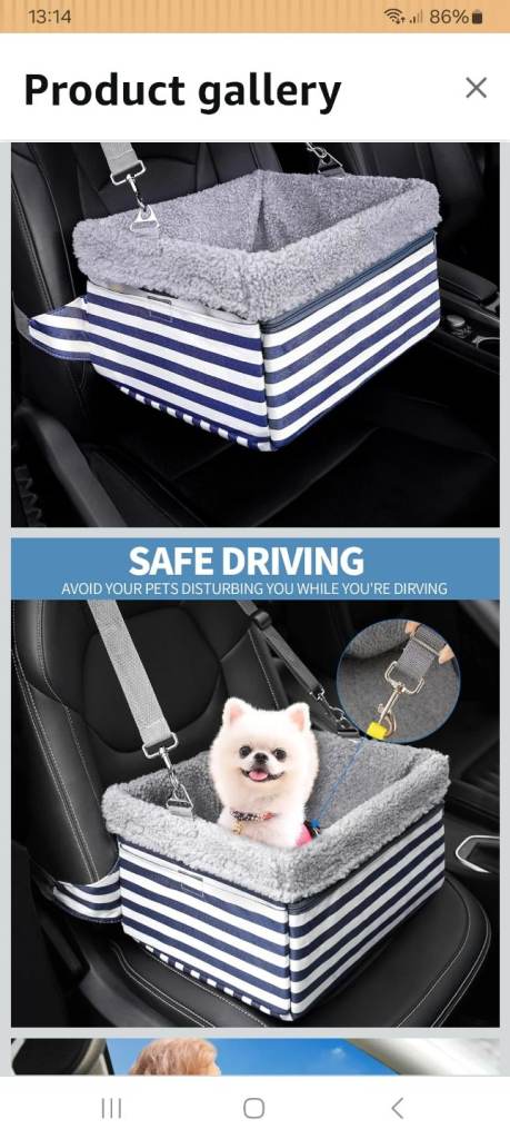Pet car booster