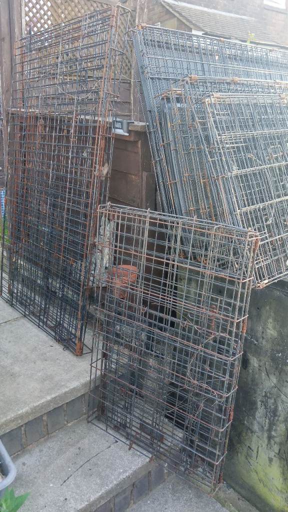 9 dog/cat/hen cages various sizes