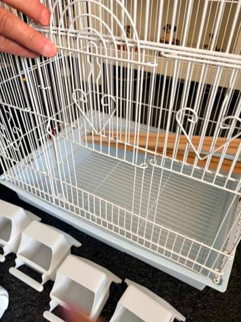 Bird cage