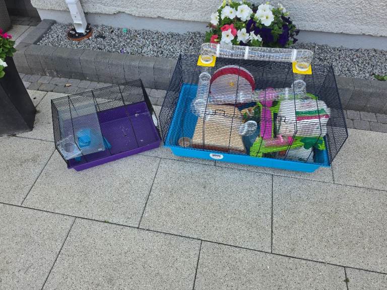 2 x Hamster Cage