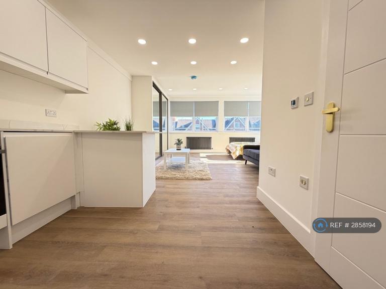 Studio flat in Cardiff Road, Luton, LU1 (#2858194)