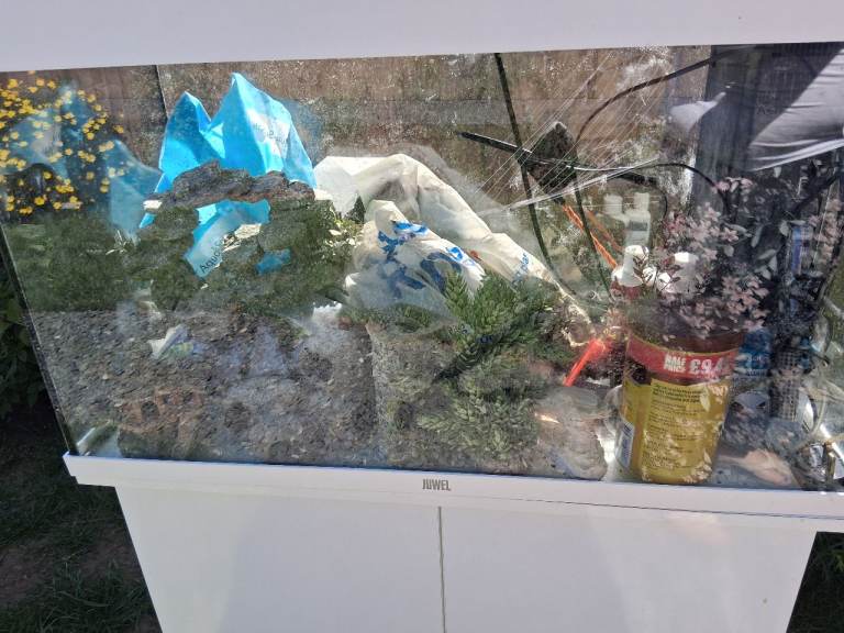 Full starter fish tank 100l