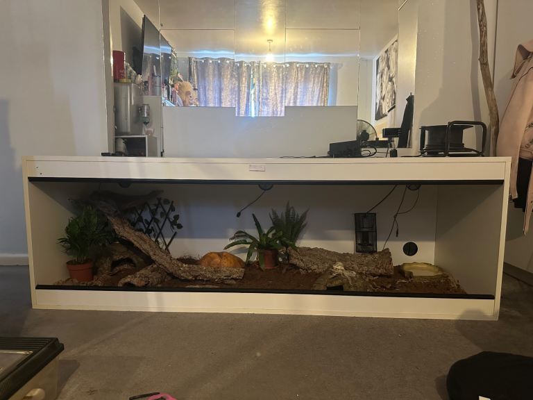 6ft vivarium 