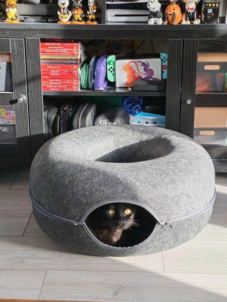 Felt Cat Tunnel