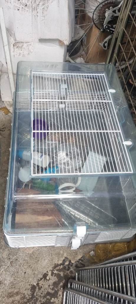 Hamster cages 