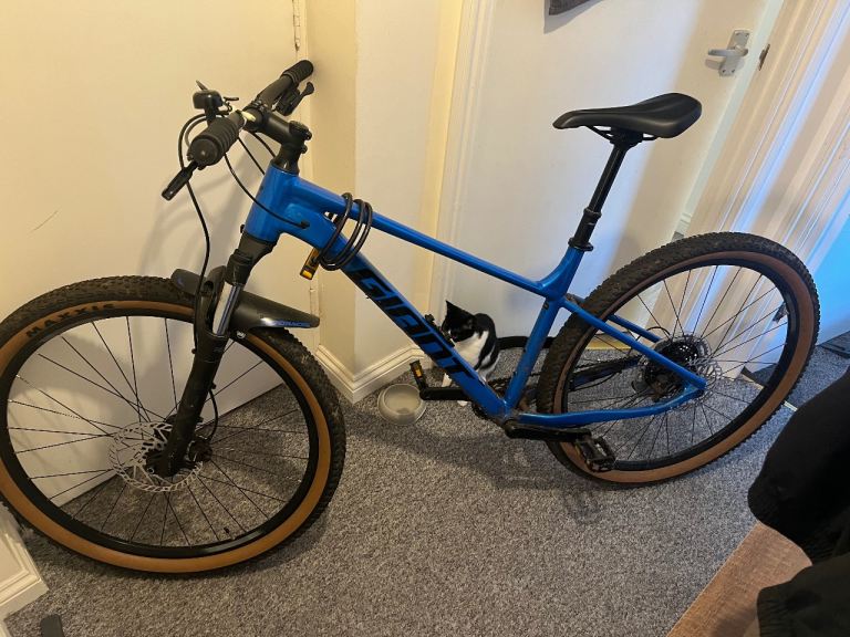 Trek Bike - Need Gone Asap