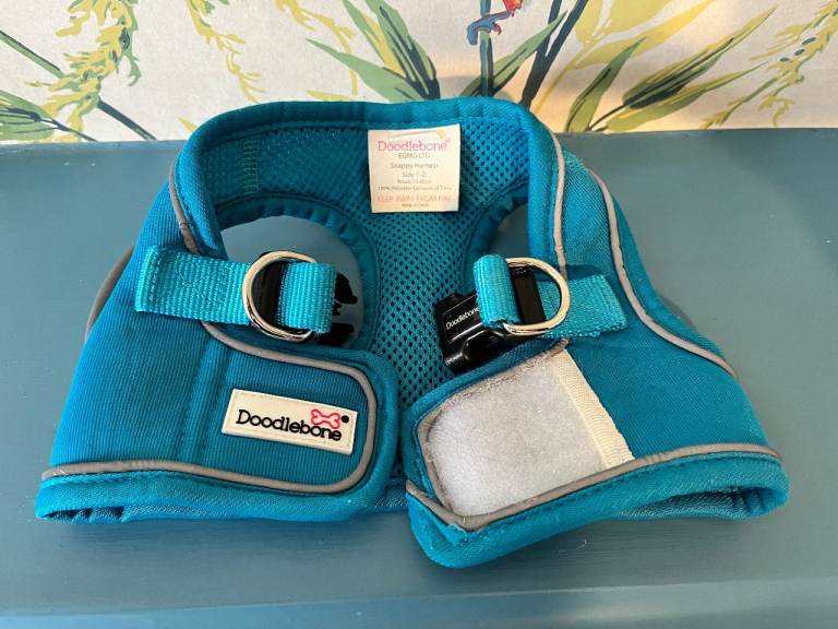 Doodlebone Snappy Dog Harness Blue Size 1-2 and Black Size 2