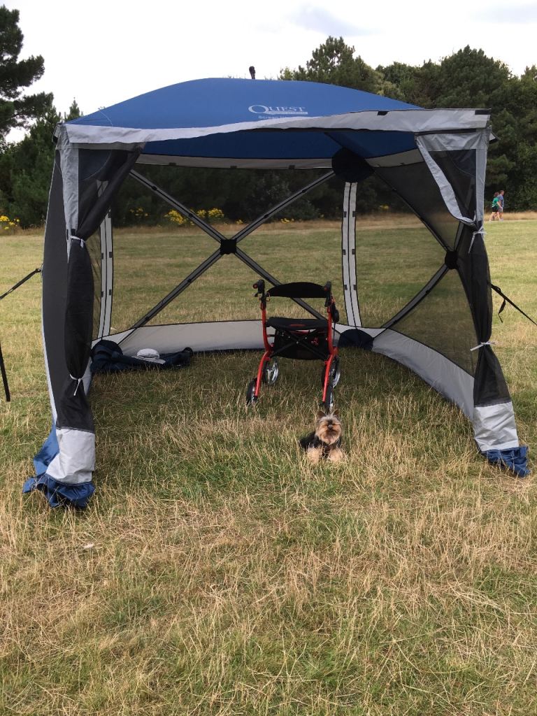 Quest Screen House 4 (Pop-up Gazebo)