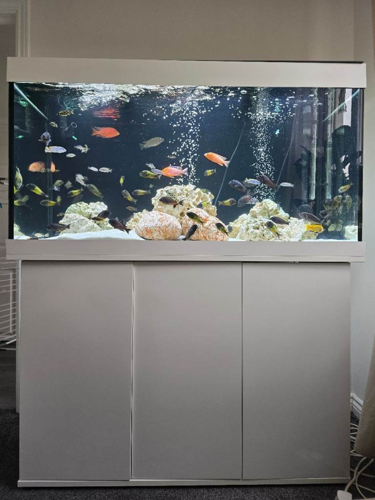 Large Aquarium Fish Tank with Cabinet – Good Condition