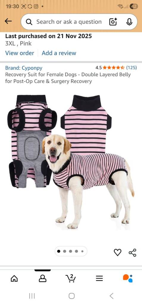 3xl dog recovery suit