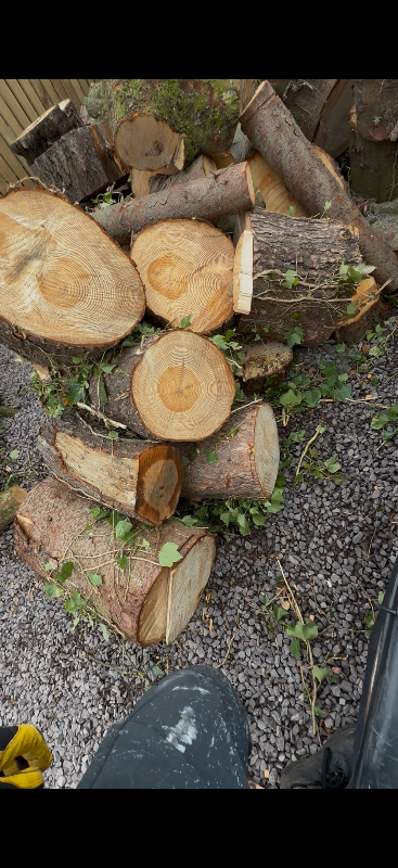 Logs firewood