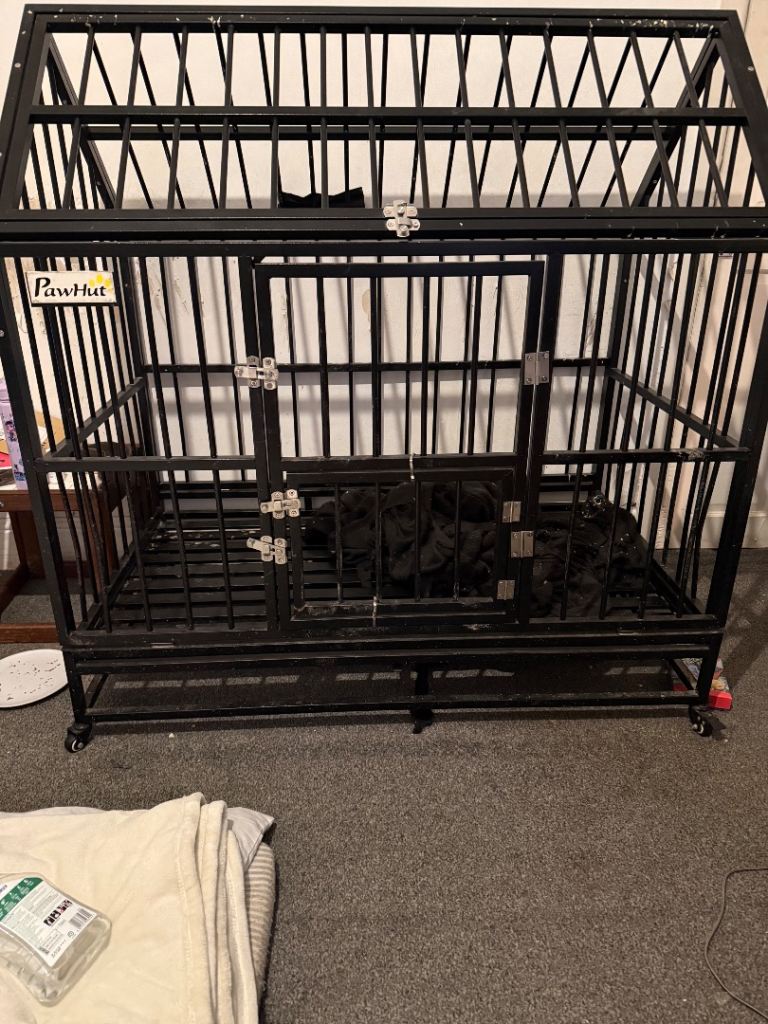 Dog cage 