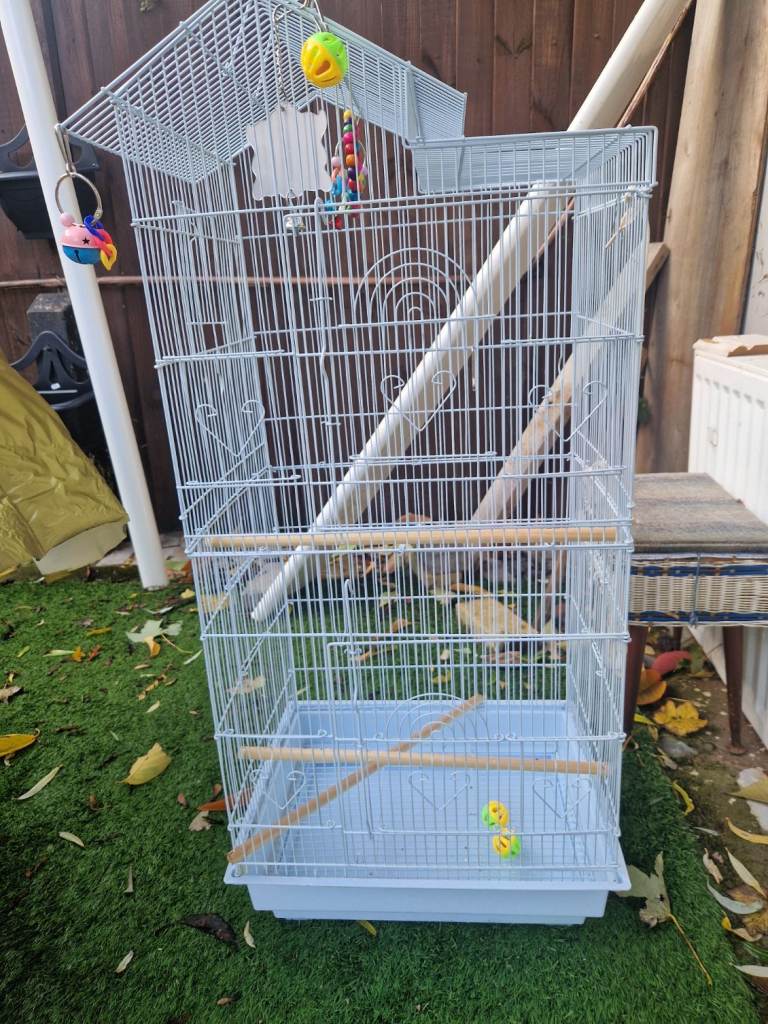 Large White Bird Cage