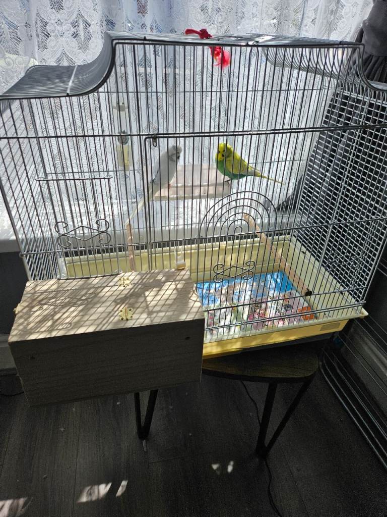 Budgie cage for sale