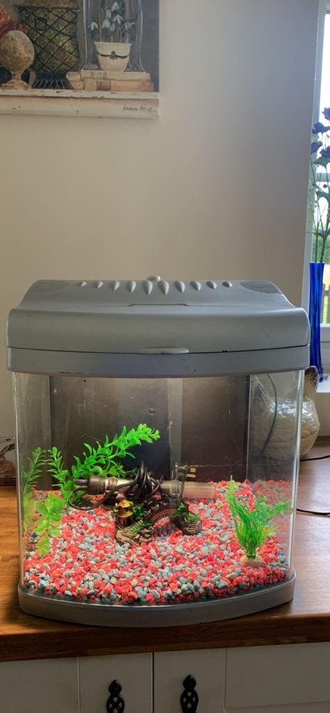 Fish tank 